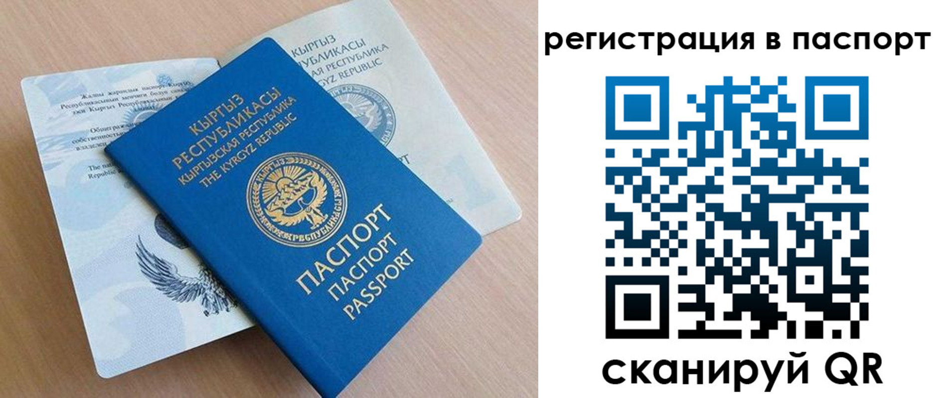 прописка законно в Ставрополе